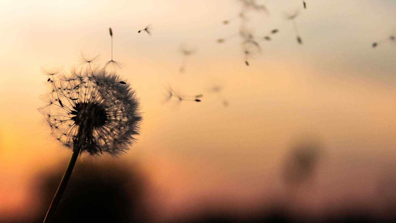 Business Valuation and Due Diligence by CA’s